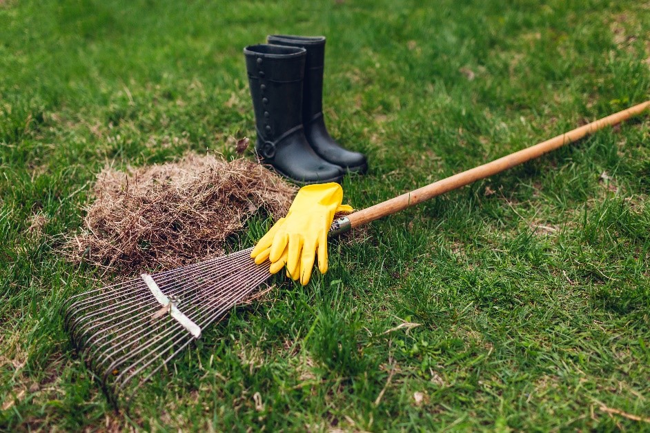 Spring Cleanup