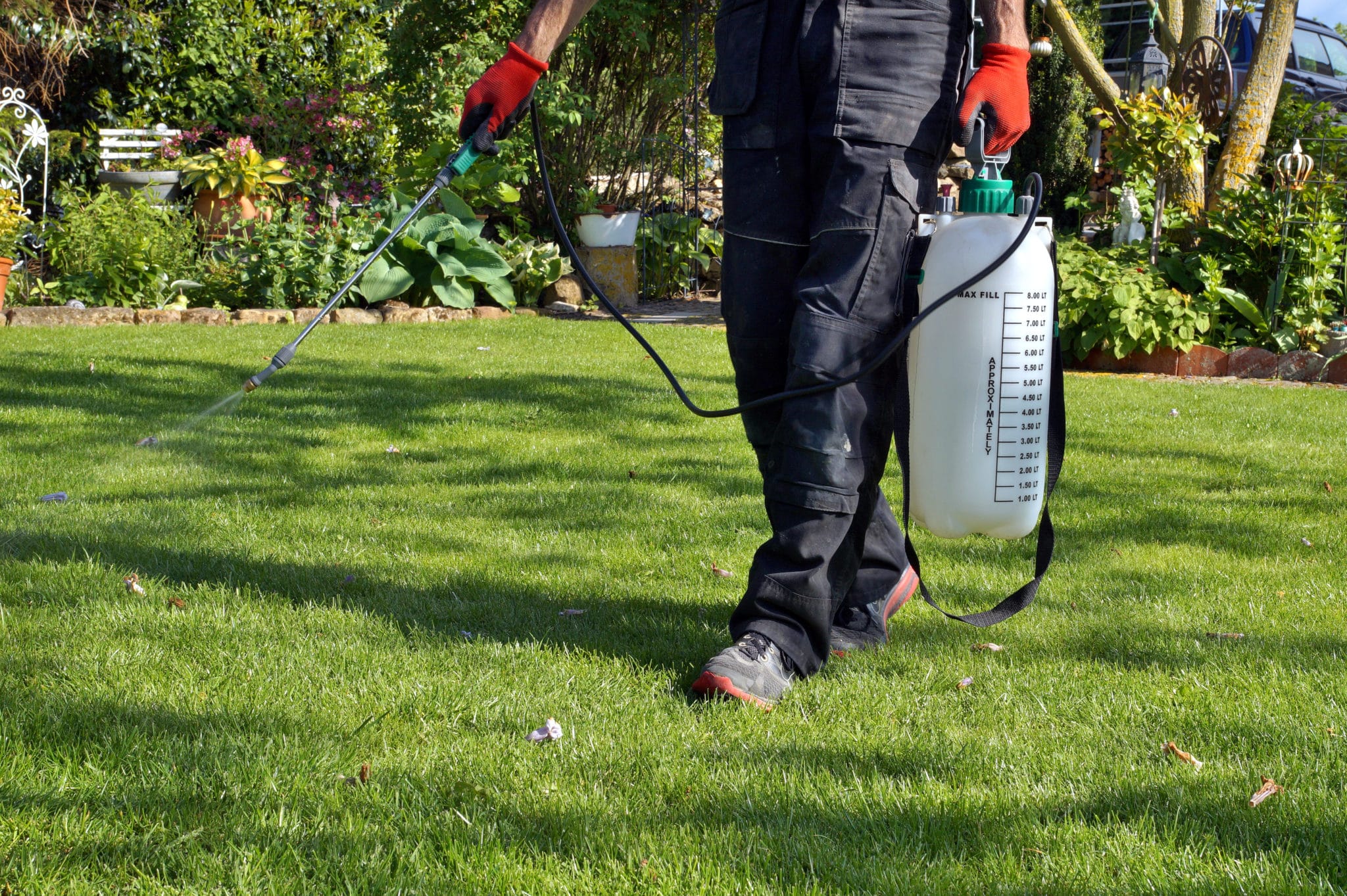 Weed Treatment